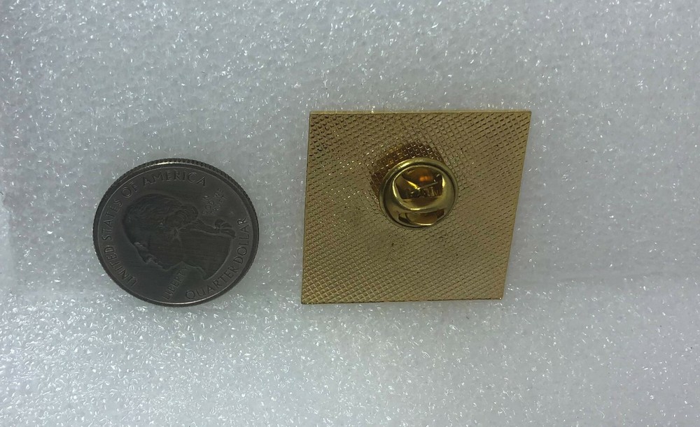 2001 UnBeelievable Pin