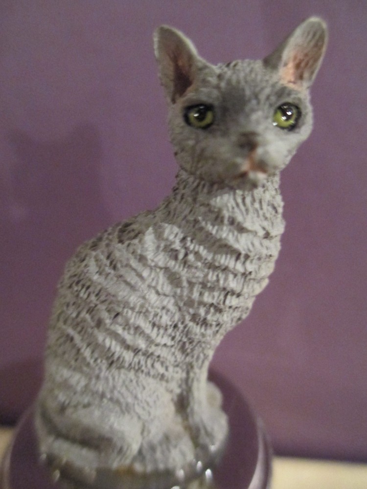 CAT CORNISH REX BLUE    WINE STOPPER