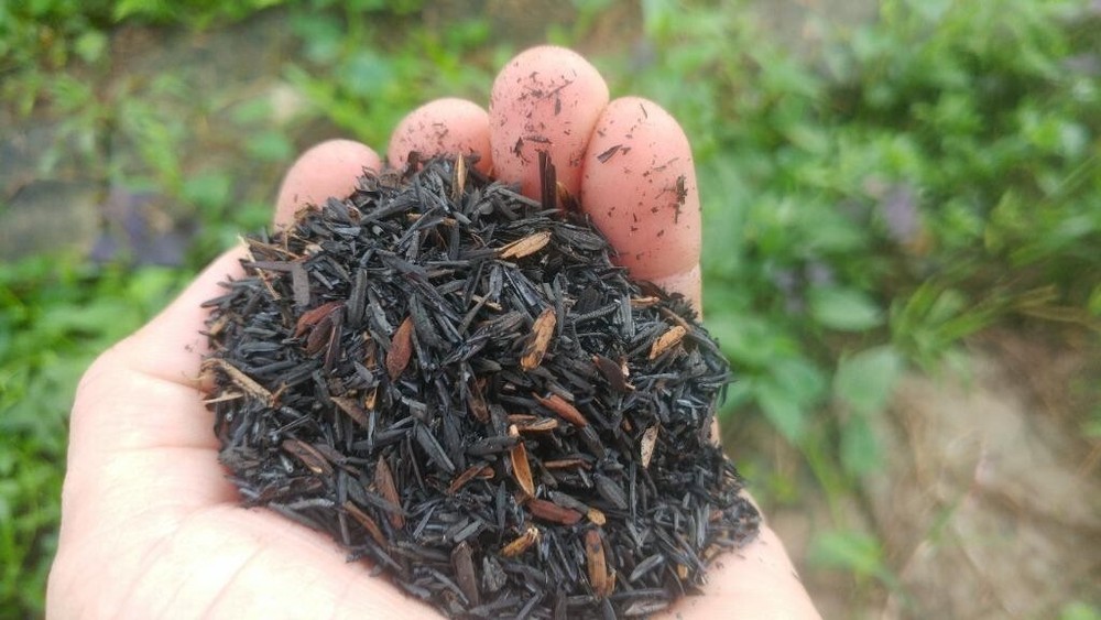 Burned RICE HUSK 3.52 oz/100g Hulls Organic Compost Hydroponic Growing Media