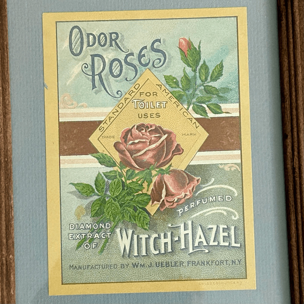 Vintage Standard American Witch Hazel Framed Label