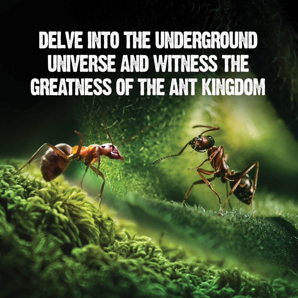 Interactive LED Ant Habitat for Children