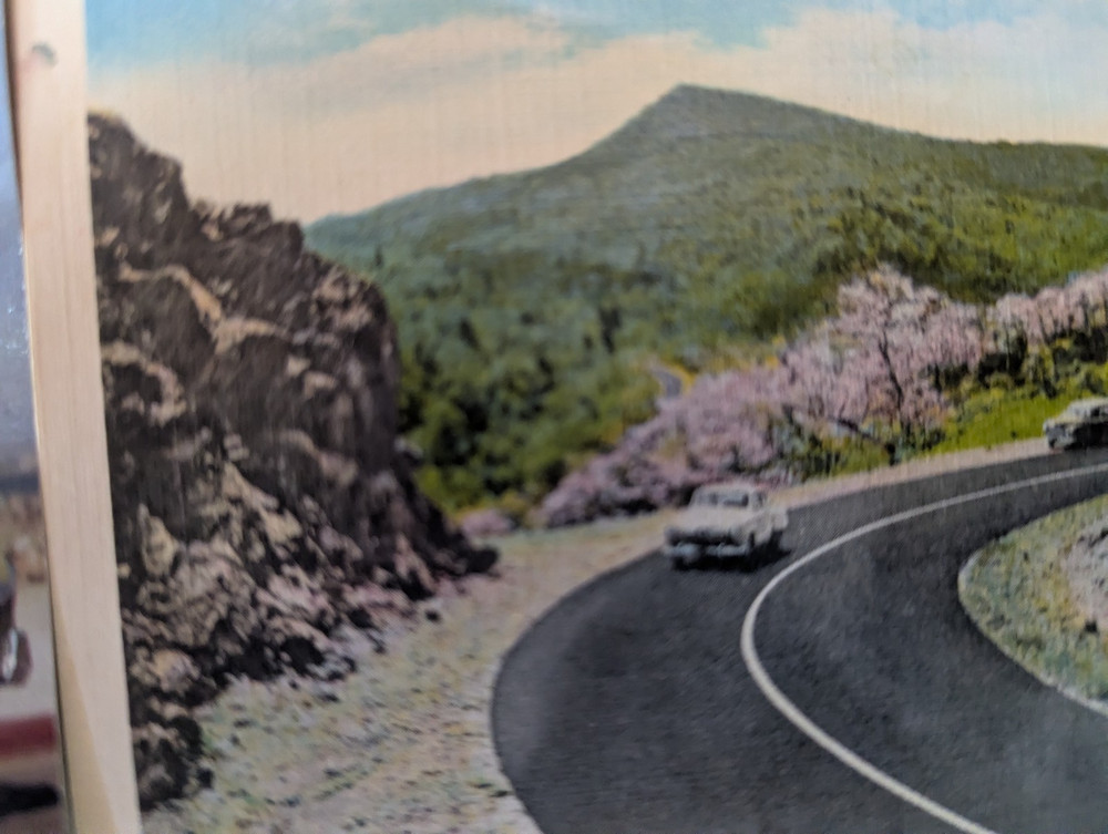 Studebaker Post Cards (FIVE)
