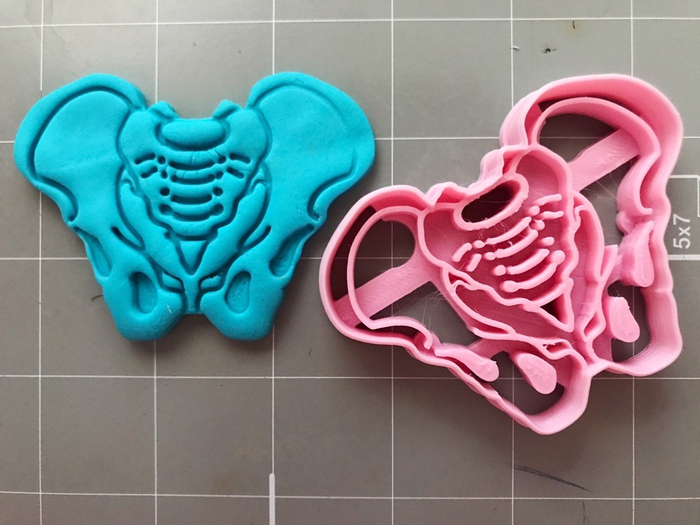 Pelvis Cookie Cutter