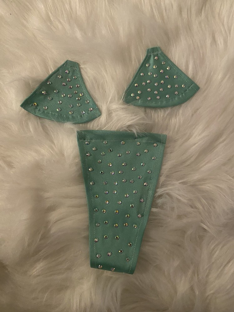 Exotic Dancewear