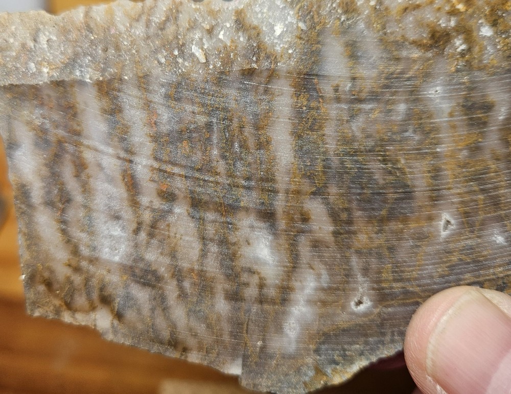 Plume Agate Thin Slab 63 Grams