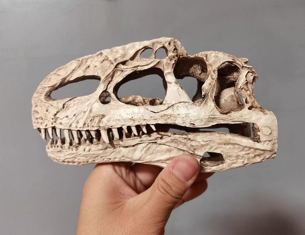 Monolophosaurus Skull Model Dinosaur Statue Display Animal Model White