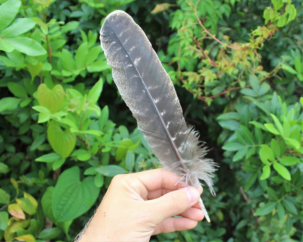 SAGE SMUDGE STICKS: BLUE, CEDAR & YERBA SAMPLER 3 PACK & SMUDGING FEATHER
