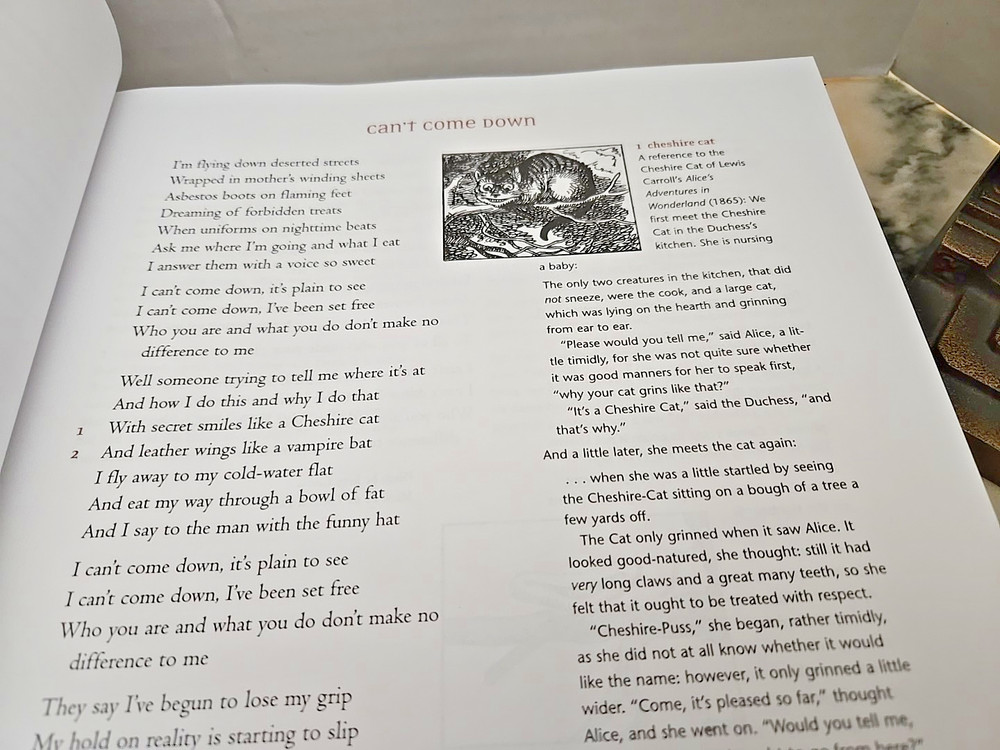 The Complete Annotated Grateful Dead Lyrics Annotations by David Dodd Hardcover