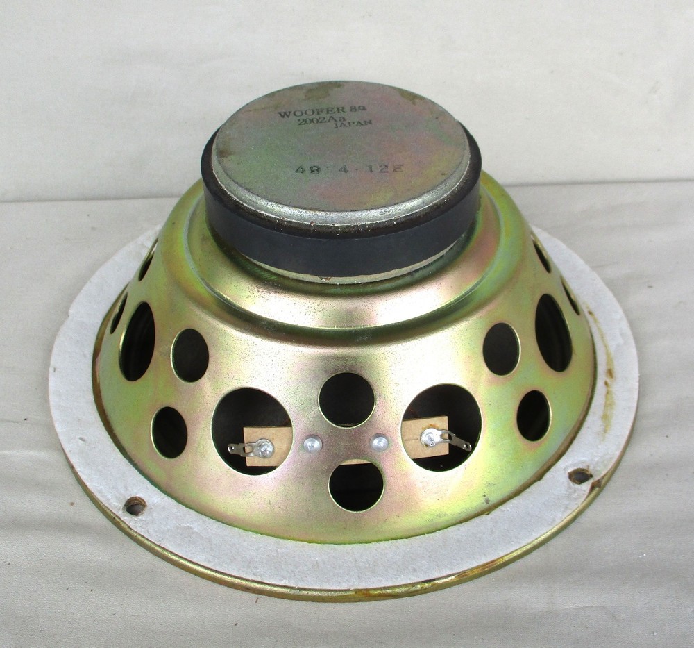 One Realistic 2002A 8-Ohm 8" Woofer Speaker Tested