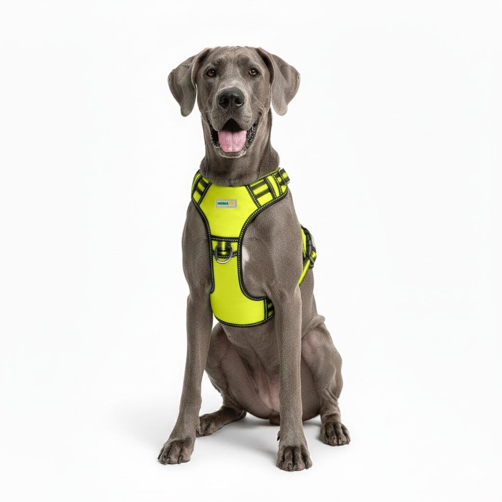. Premium No-Pull Tactical Dog Harness with Adjustable Straps Soft Padded Des...