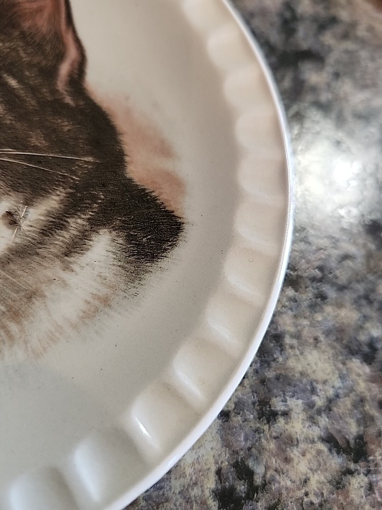 Hoffritz Porcelain Cat Plate 5" Made in England