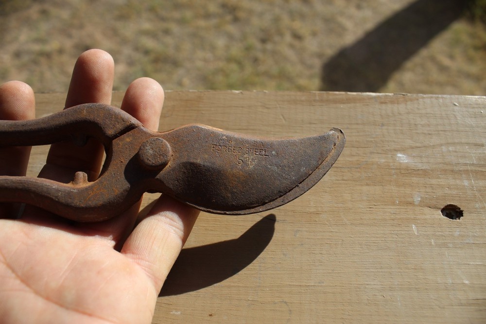 Vintage Pruning Shears, hand pruners