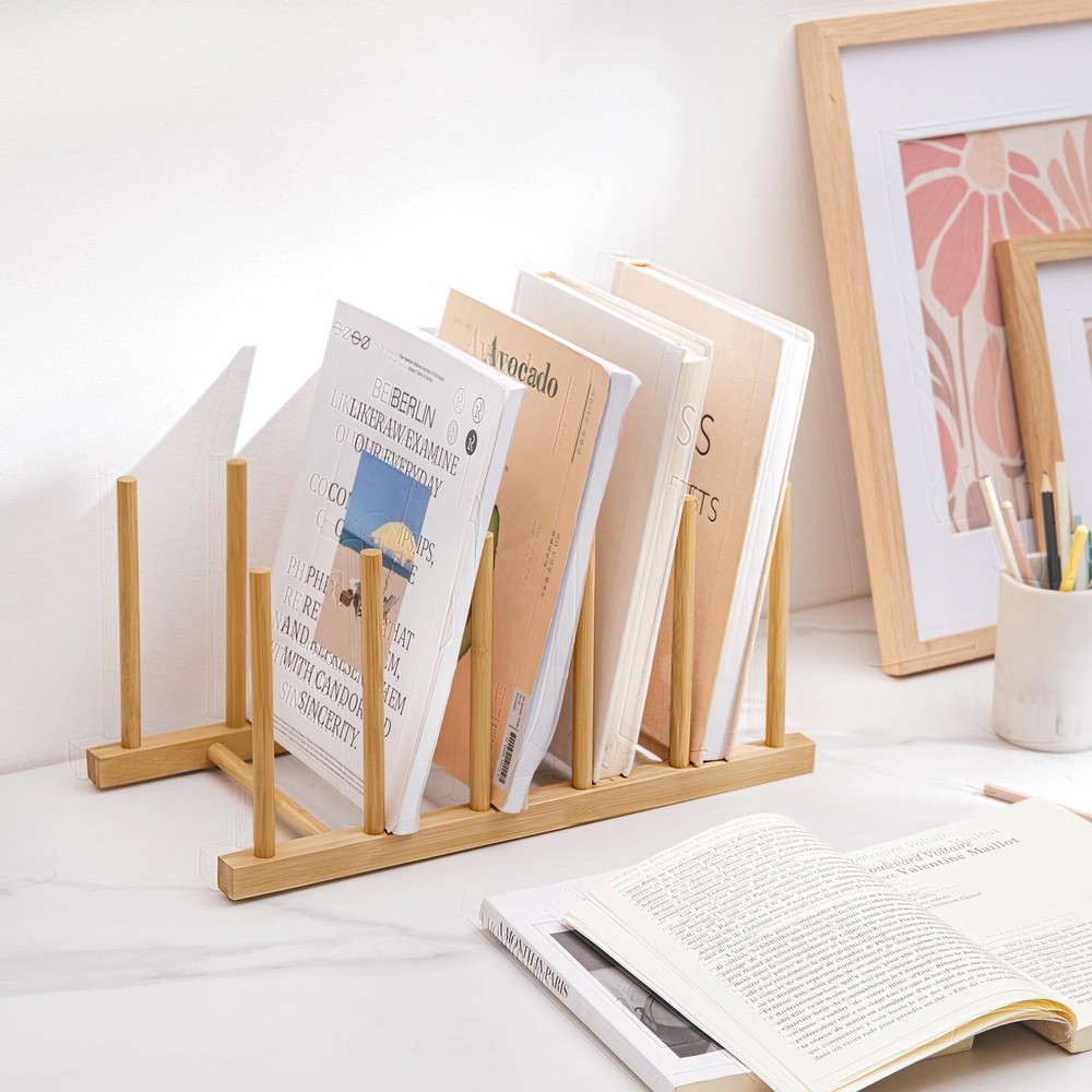 HBlife Desk File Organizer 5 Section Upright 1 Pack 5-Sections, 1 pack
