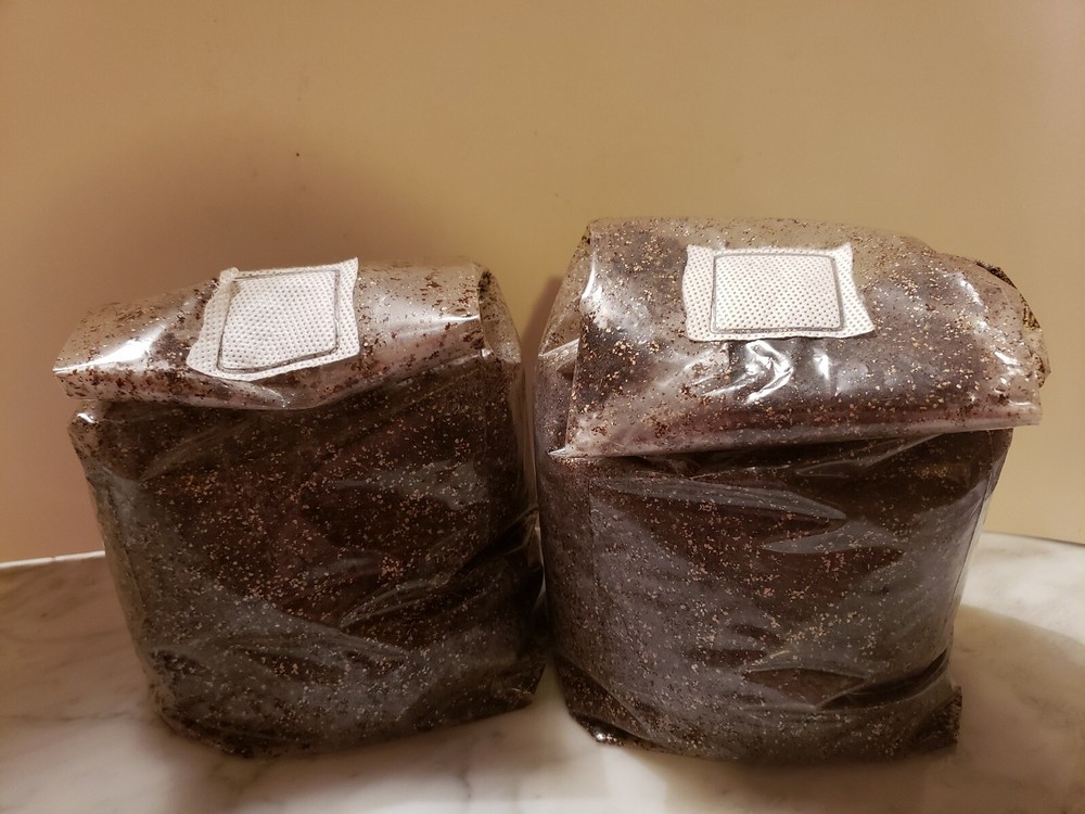 Pasteurized mushroom super substrate 10LBs,field capacity ready for your spawn