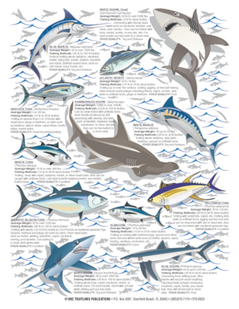 Saltwater Identification #2 - Waterproof Quick Reference Guide