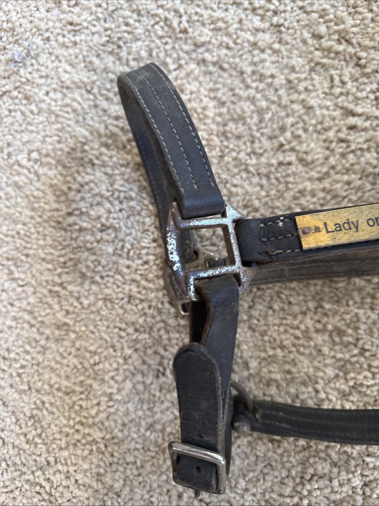 BROKEN Leathed Horse Size Halter - Use For Hardware
