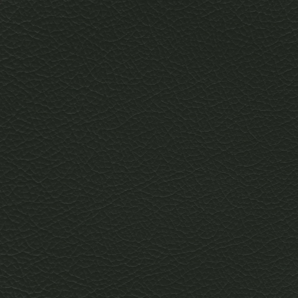 Jaguar Pine Green Leather Dye