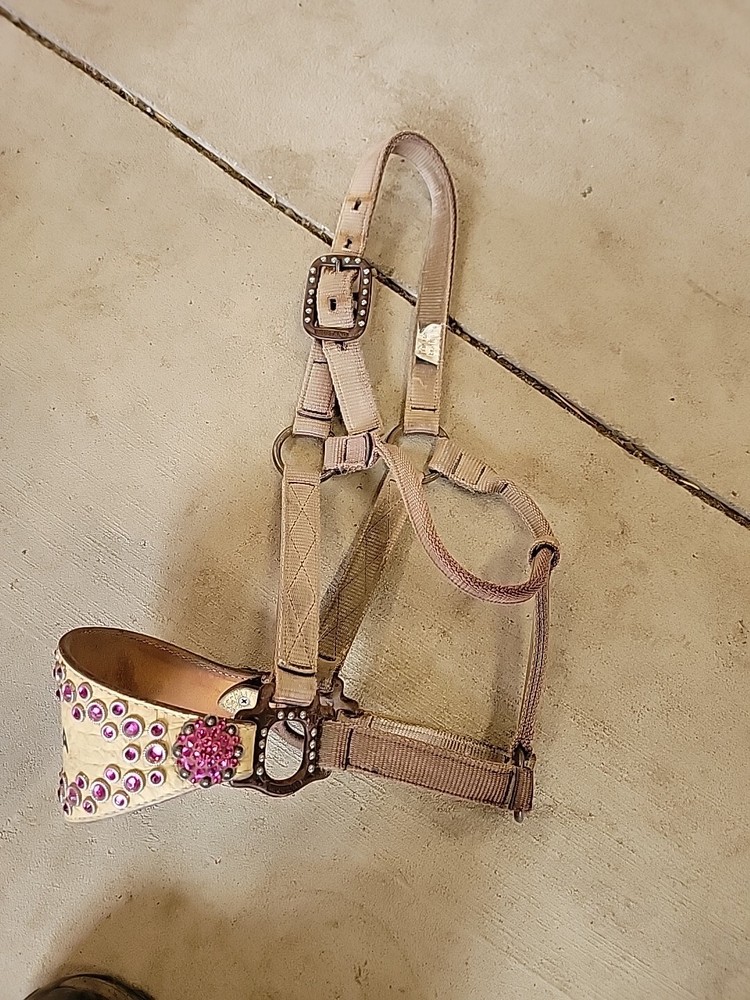 Horse Halter