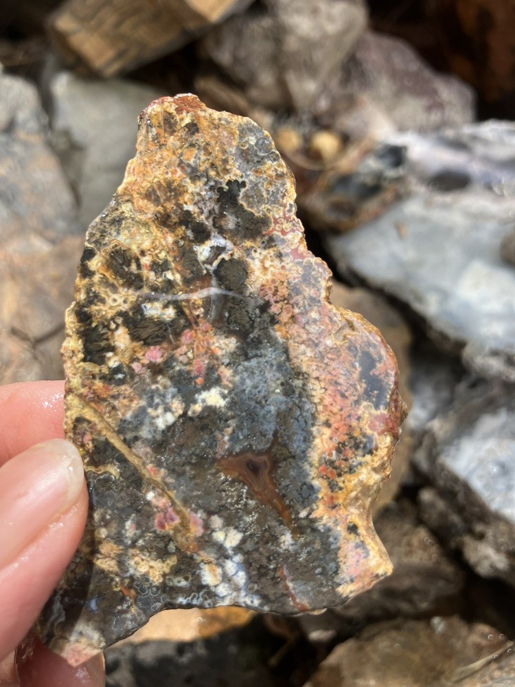 Priday Plume Agate Slab (Oregon)