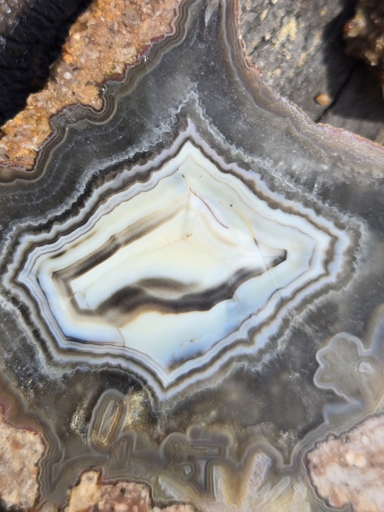 Turkish Agate Slabs Slices From One Stone Matching Lapidary Unique