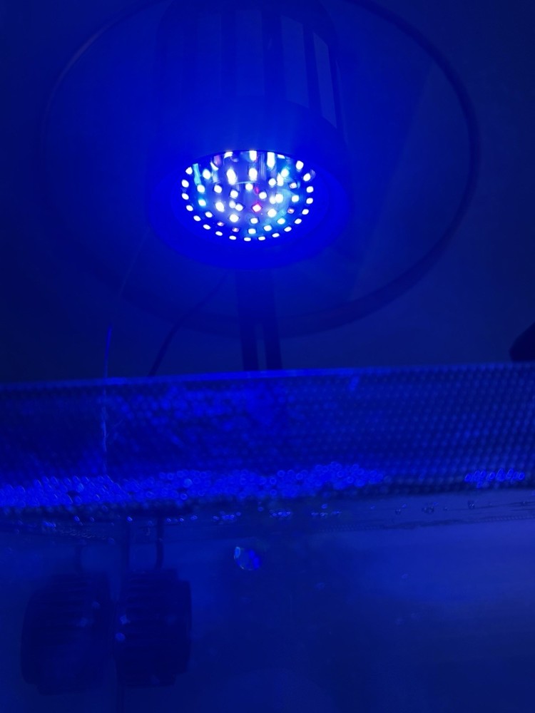 Hygger Reef One led light