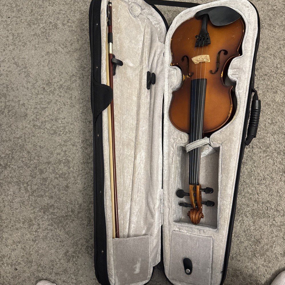 Violin In Case Instrument  Mendini