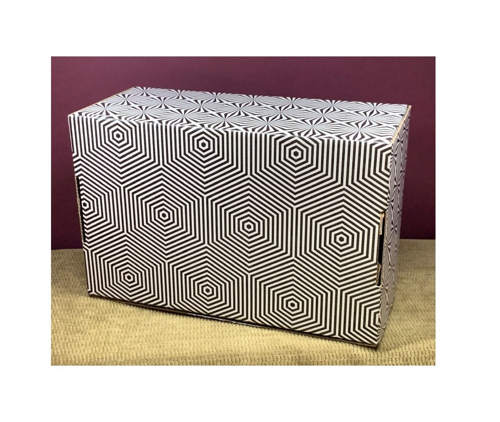 LOOT CRATE "MESSES WITH YOUR MIND" EMPTY BOX ONLY