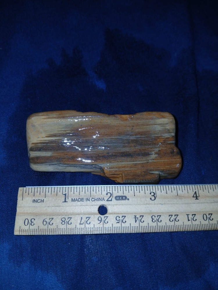 4.5 oz Texas Orange Petrified