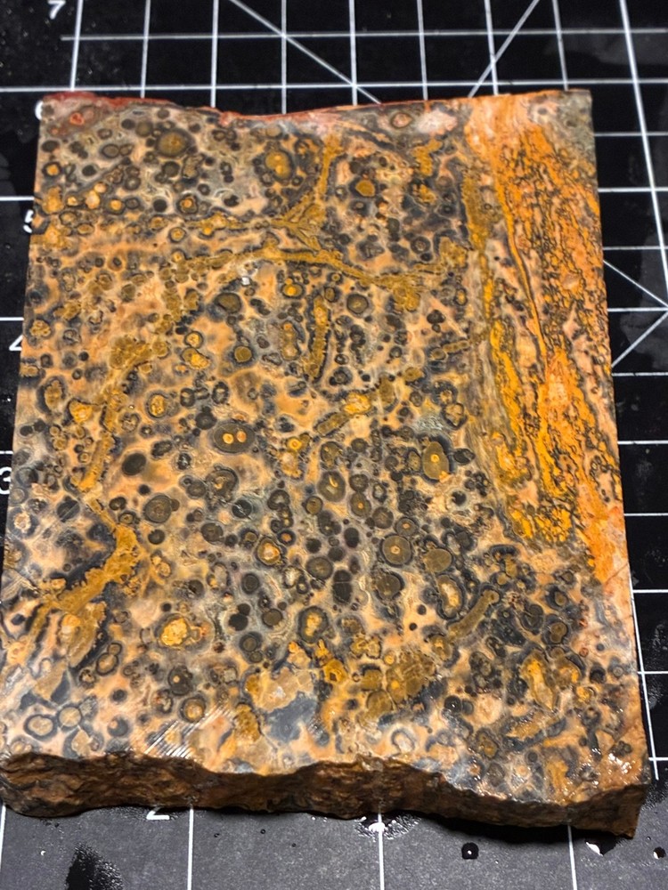 OLD CLASSIC LEOPARD JASPER SLABS (TWO) @ 500 Grams GOOD STUFF