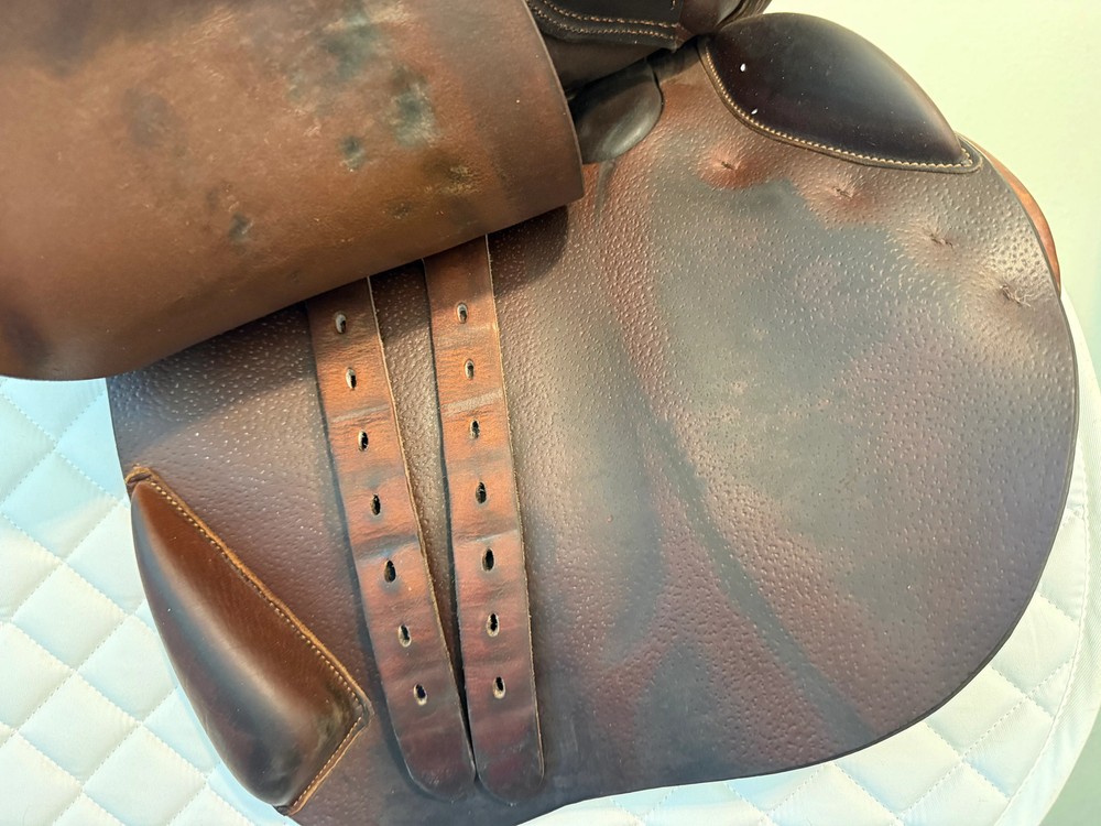 18 - 2020 Bruno Delgrange Partition, 5A Flap, Medium Tree - Exceptional