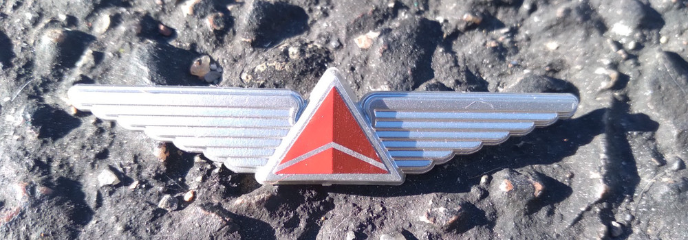 Delta Wings Brooch Pin Silver Red Triangle