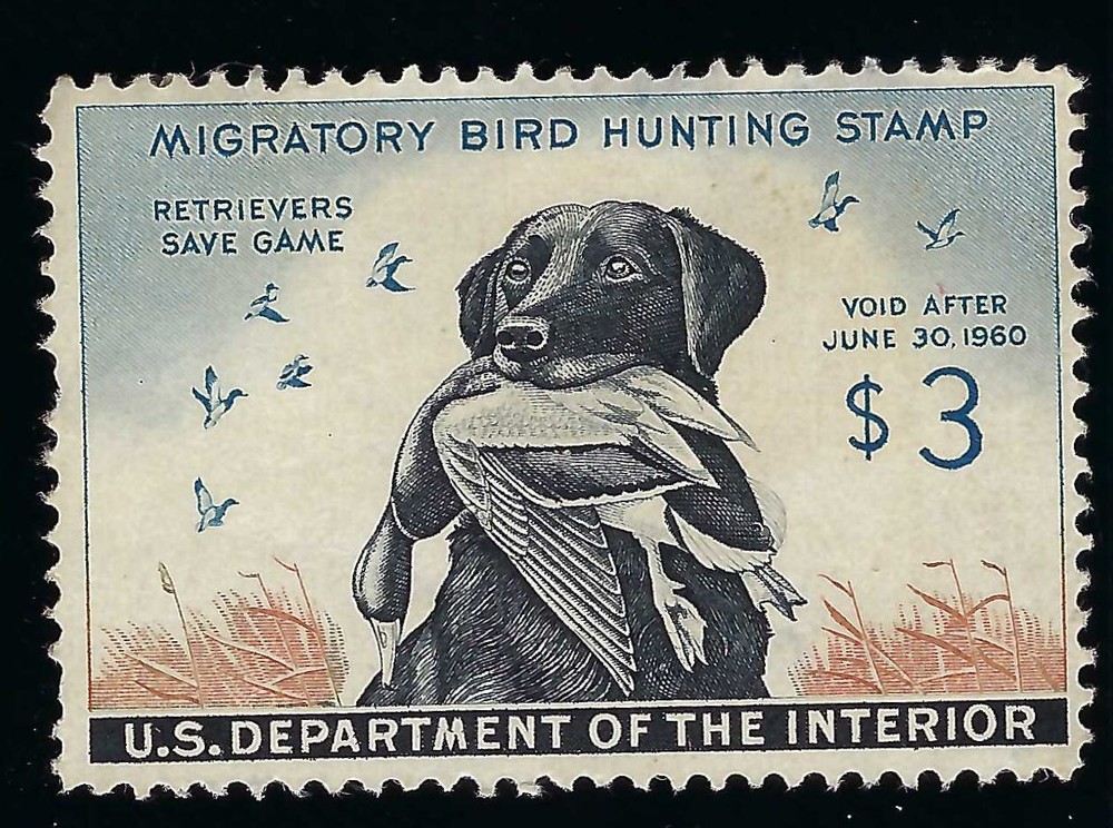 *RW26 FINE-VERY FINE, no gum