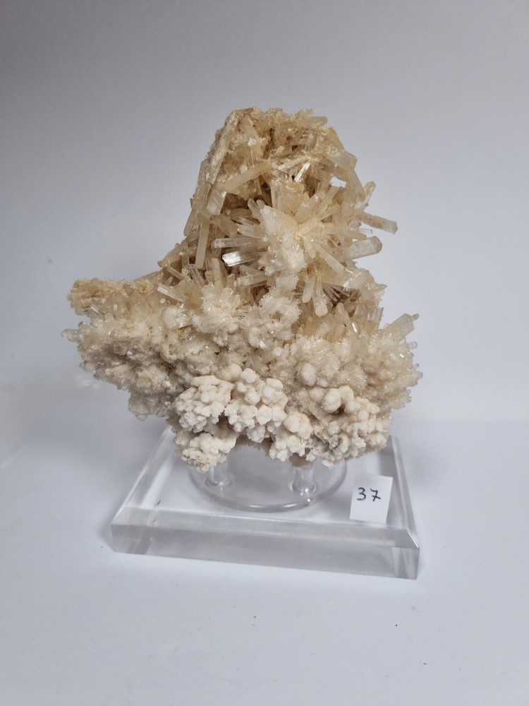 Minerals◇Chalk Australia FREE SHIPPING