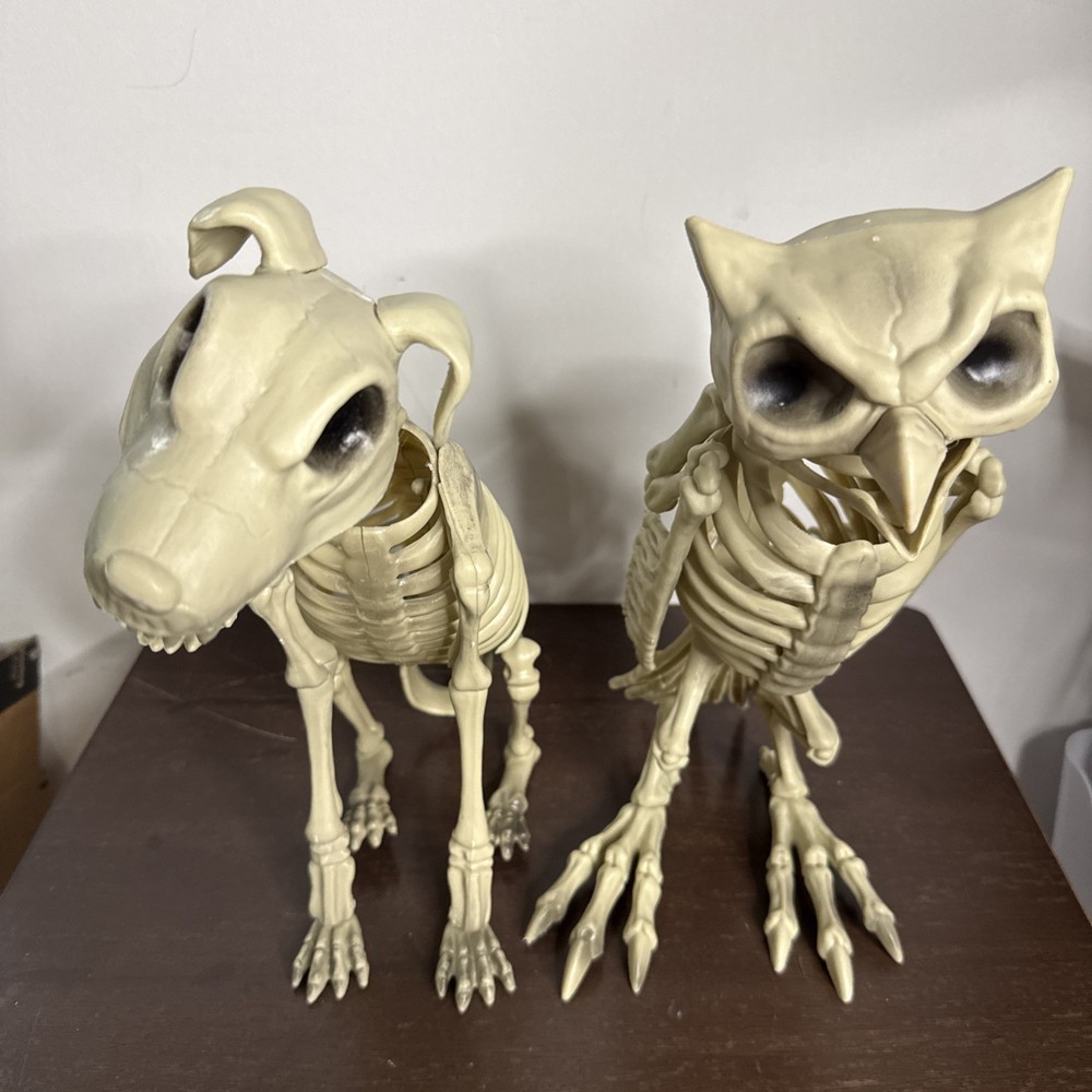 Owl & Dog Skeletons Bones 12" Spooky