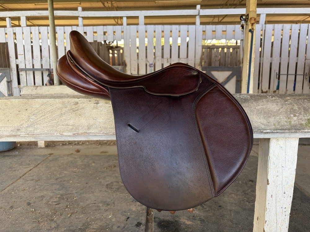 Collegiate Post-Graduate all-purpose saddle, 17”