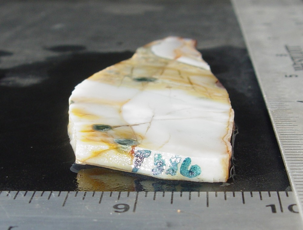 Ocean Jasper Lapidary Slab T936