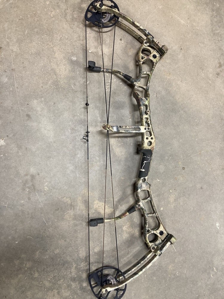 Bear Anarchy HC 50-60