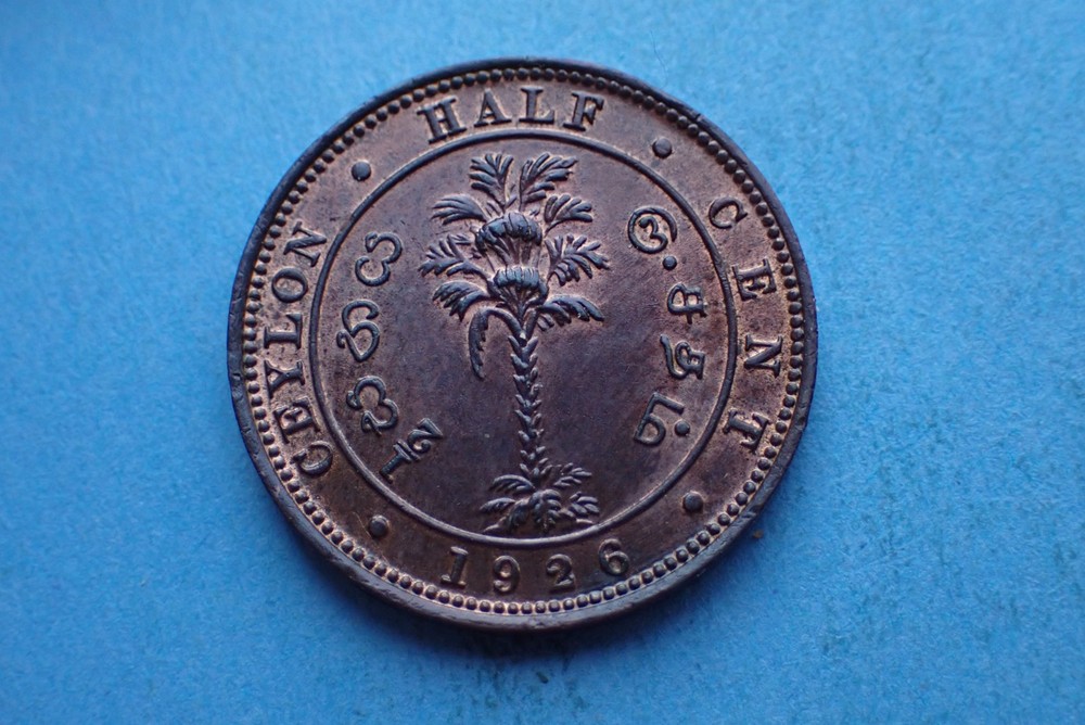 Ceylon, 1926 Half Cent, as shown.