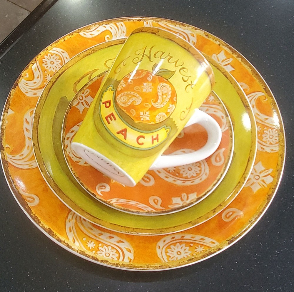 One) Vintage Oneida Ala Mode Collection 4pc Place Setting ~Peach~