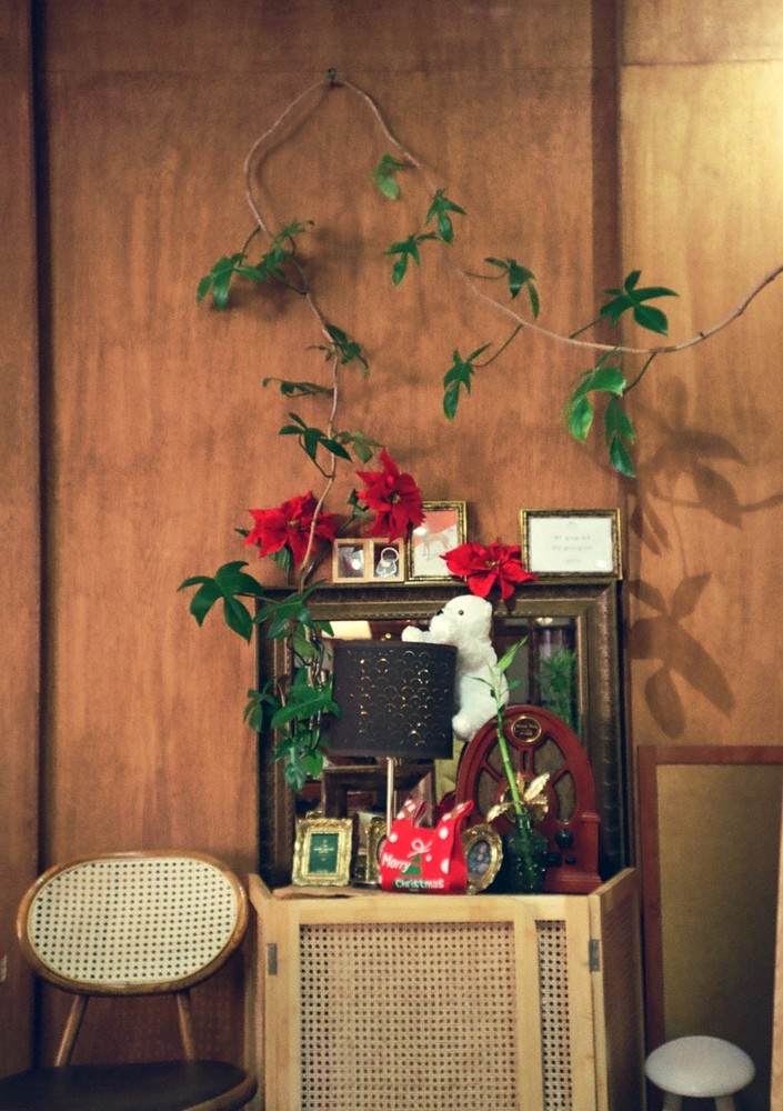Lomo LC-A half frame conversion parts