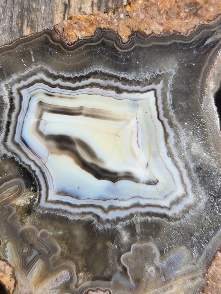 Turkish Agate Slabs Slices From One Stone Matching Lapidary Unique