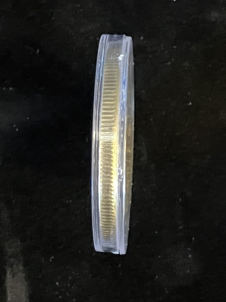 Bitcoin - gold colored Bitcoin in protective case.