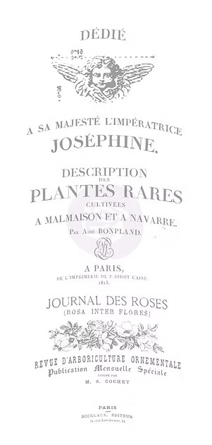 IOD DECOR  TRANSFER FRENCH POTS II