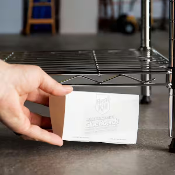 Household Pest Glue Boards (2-Pack)