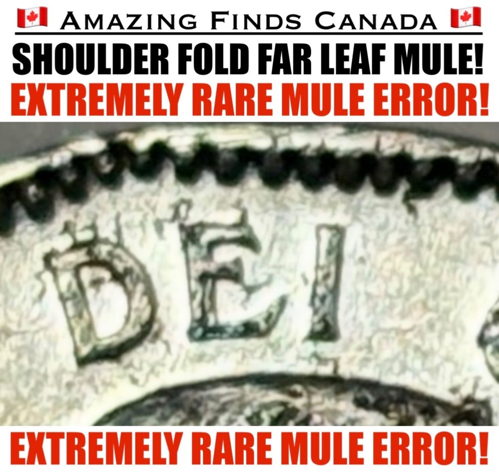 *MULE ERROR* 1953 Canada 5 Cent! *RARE SHOULDER FOLD FAR LEAF MULE ERROR! SF FL!