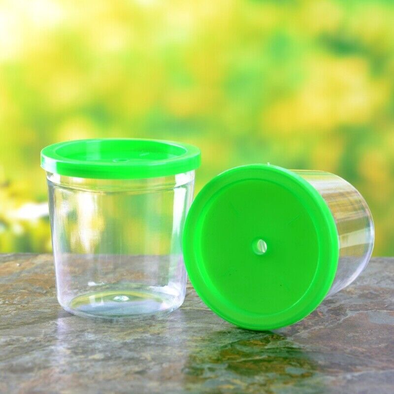 Mini Betta Cup Plastic Fish Tank with cover. Betta Tank. Beta cup