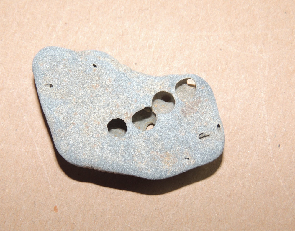 Holey Hag Stone 2 inches (t-4)