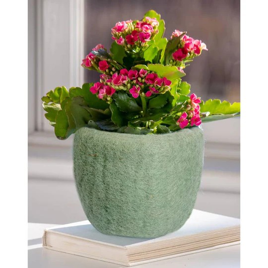 dzi handmade 4 Inch Celadon Felt Planter