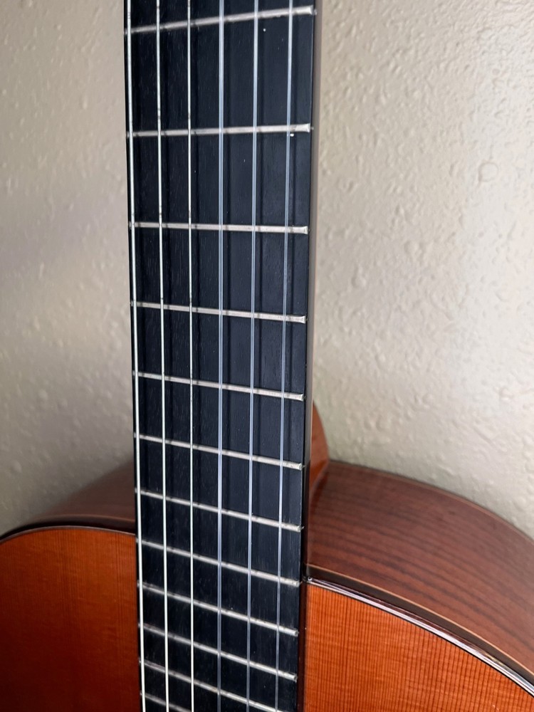 Alhambra 5P Classical Guitar With Hard Case