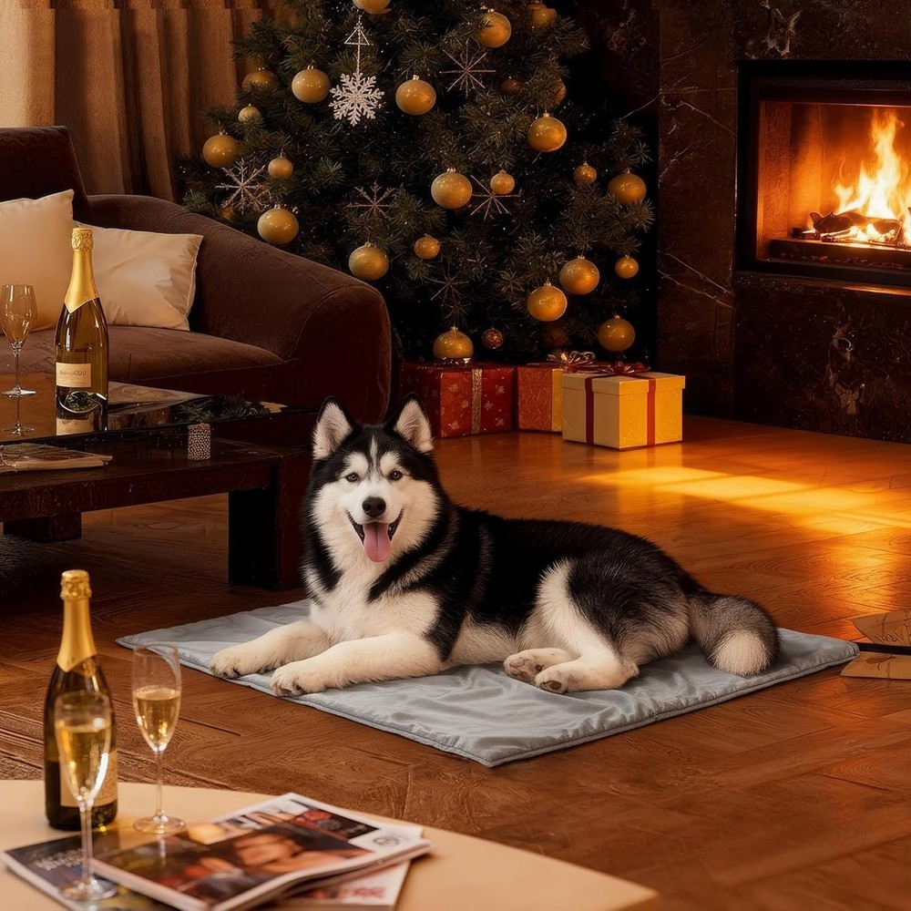 Compact Heated Pet Bed Mat 35x24 - Waterproof, Chew Resistant, User-Friendly
